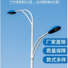 路灯生产厂家 大功率市电LED强光灯定制6米8米10米市政道路照明灯