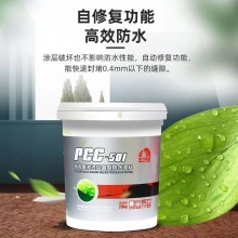 东方雨虹 PCC-501水泥基渗透结晶聚合物水泥防水涂料